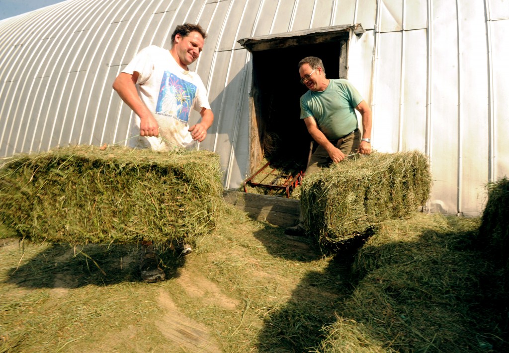 Radley and Roger Billings load hay into the barn at the family farm. 