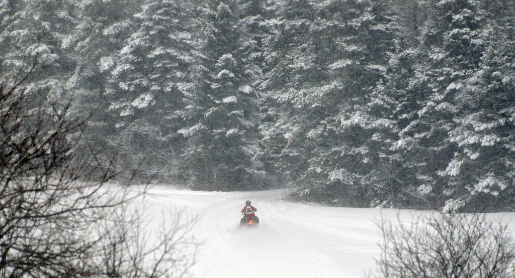 Stefan Hard / Staff Photo A lone snowmobiler heads into a dense conifer forest on a VAST trail Sunday in Washington.