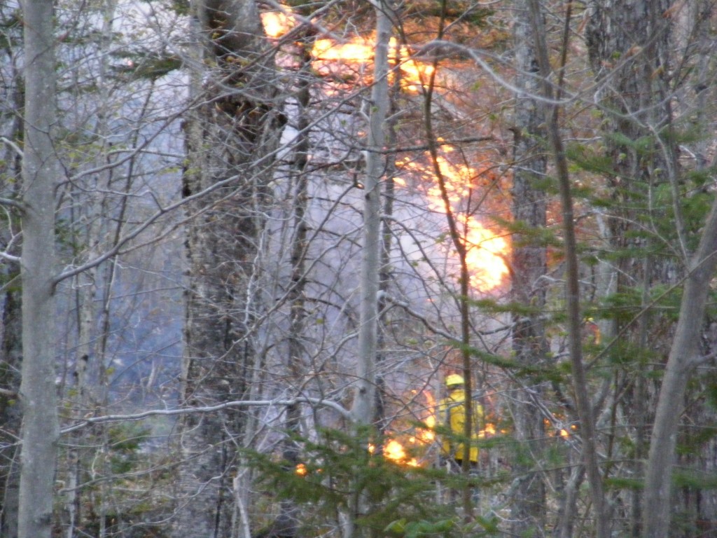 PHOTO PROVIDED The US Forest Service is seeking help in finding out who or what may have caused this fire in Winhall on May 7. 
